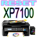 Reset Epson Adjprog XP7100