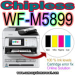 Chipless Chip virtual WF-M5899
