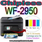 Chipless Chip virtual WF-2950