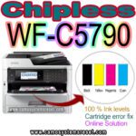 Chipless Chip virtual WF-C5790